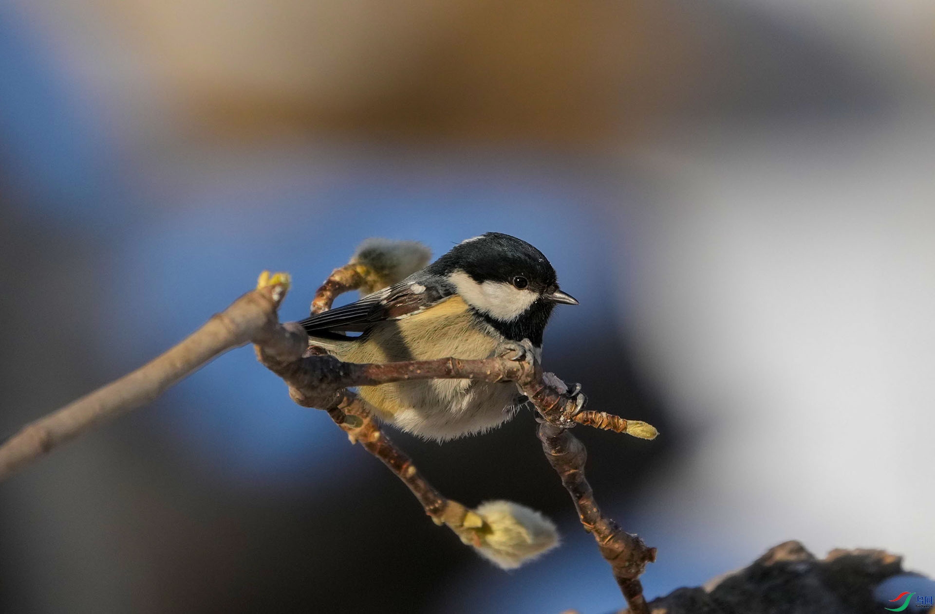 DSC04925.JPG