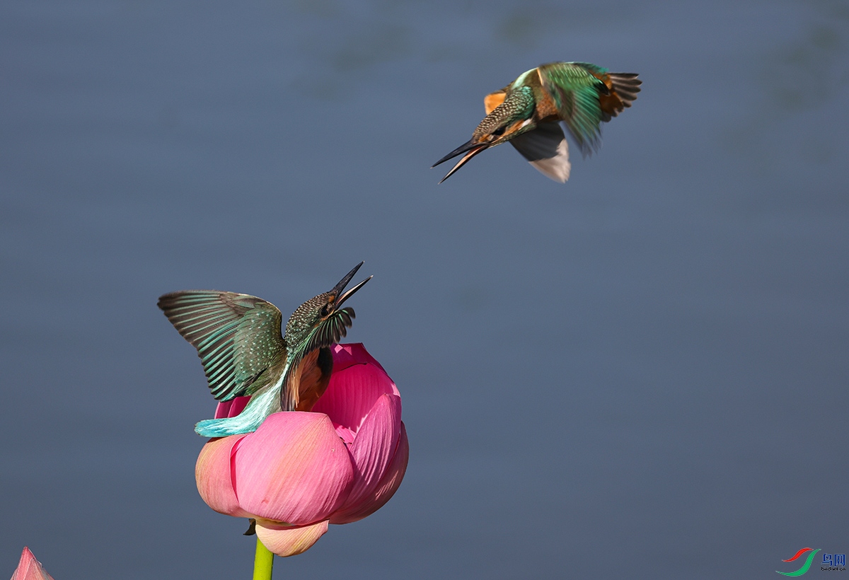 ���� ����4.jpg