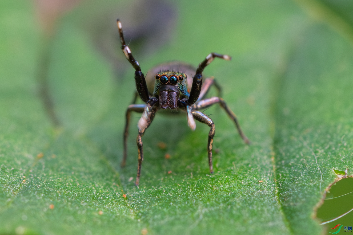 DSC_3506_1.JPG