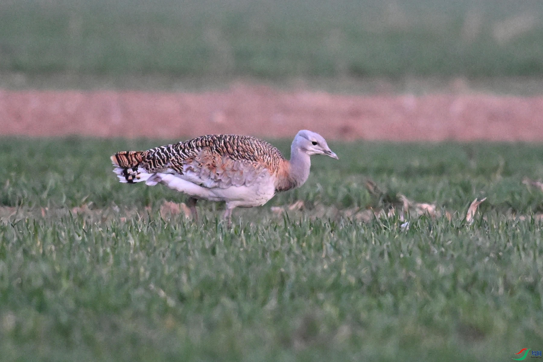 DSC_1740.JPG