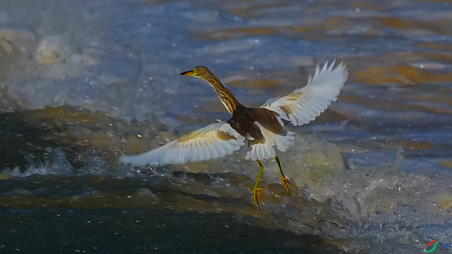 ֻ��ƴ�����л���-���� ����.jpg