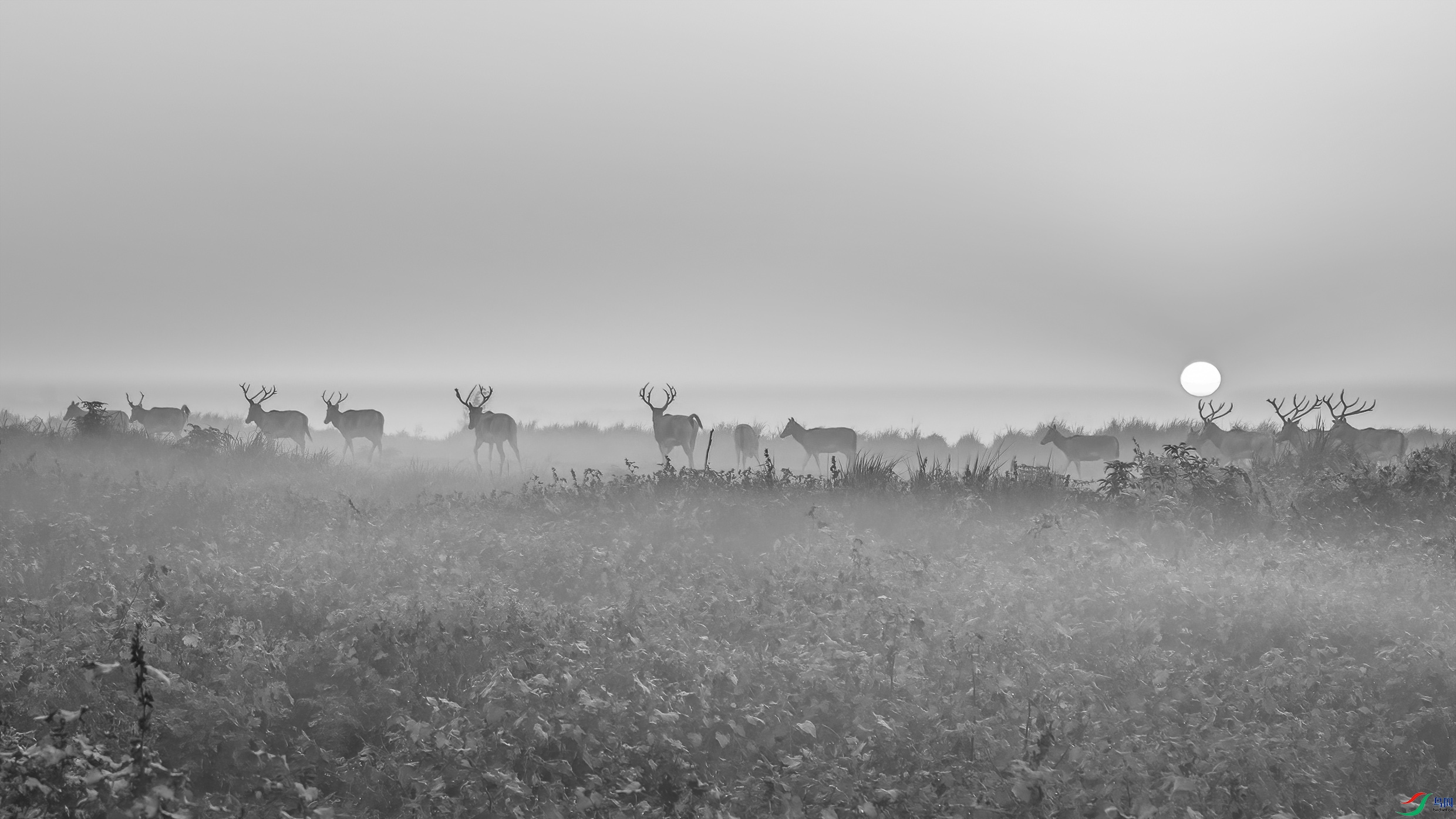 G81A9994 ����2.jpg