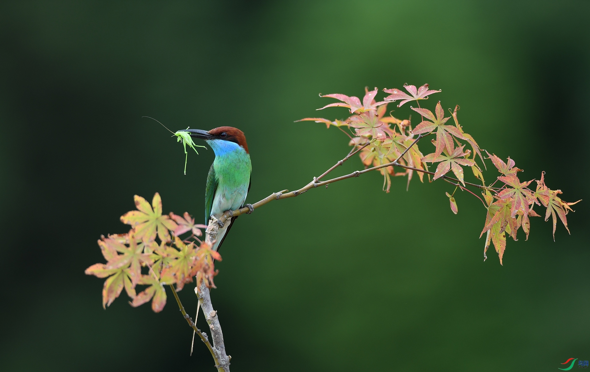 DSC_0848.jpg