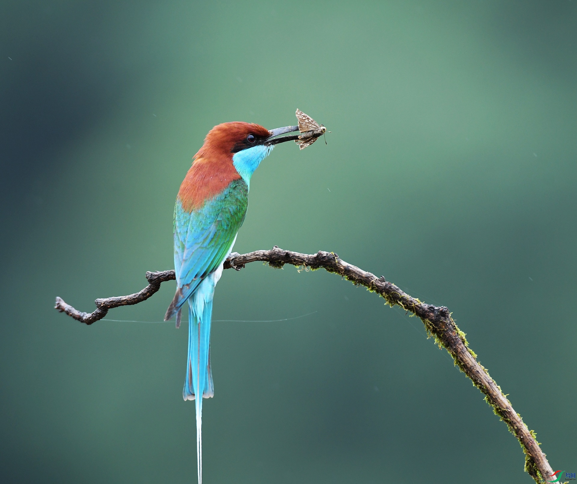 DSC_4104.jpg