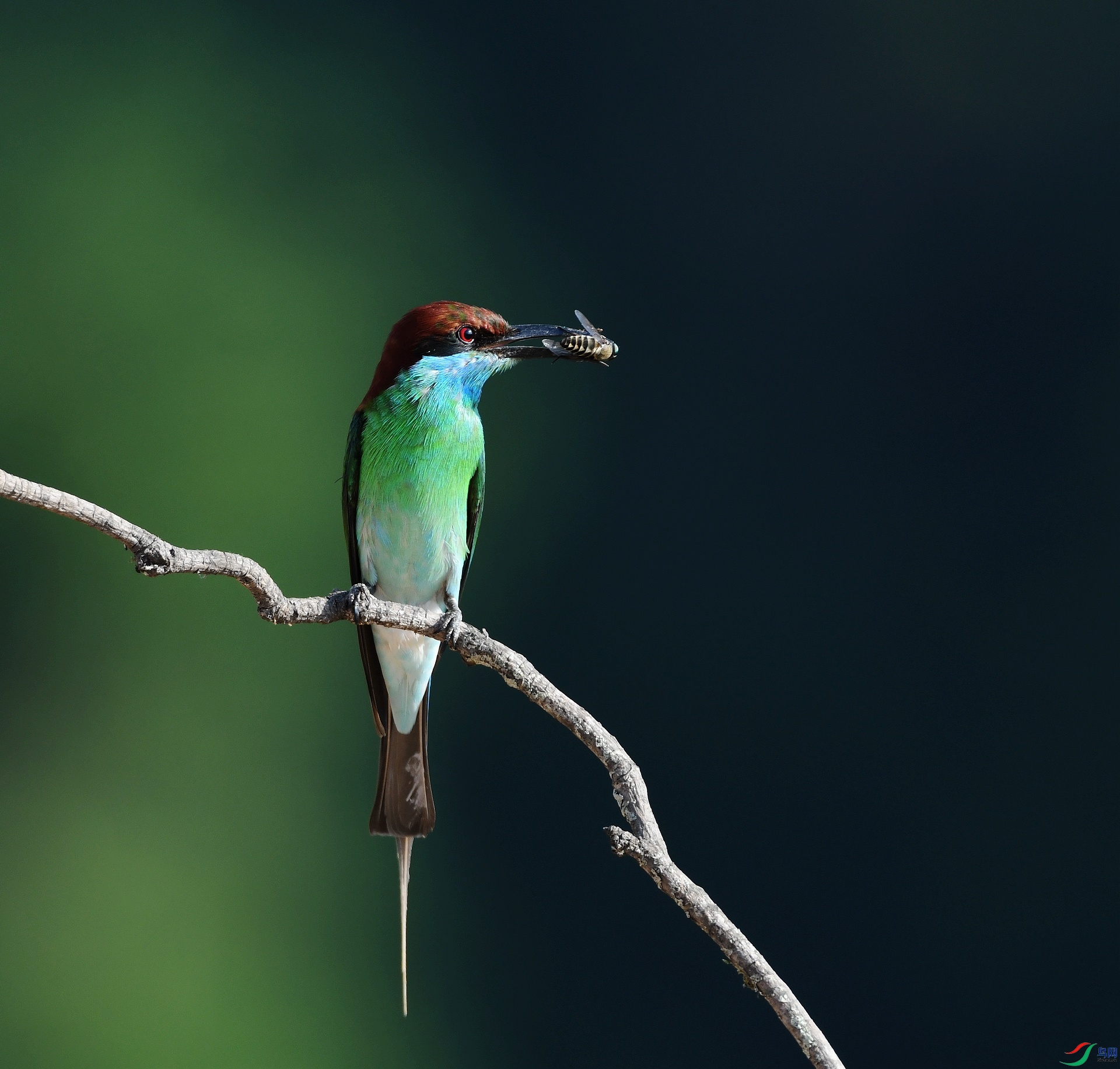 DSC_5639.jpg