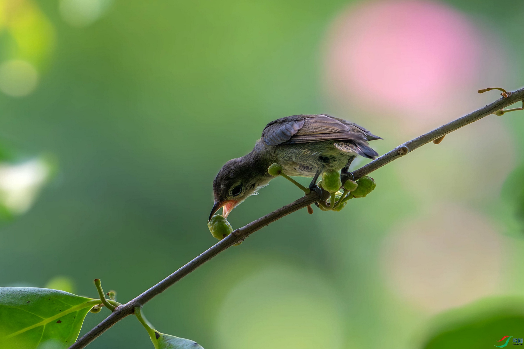 DSC_1299_����.jpg