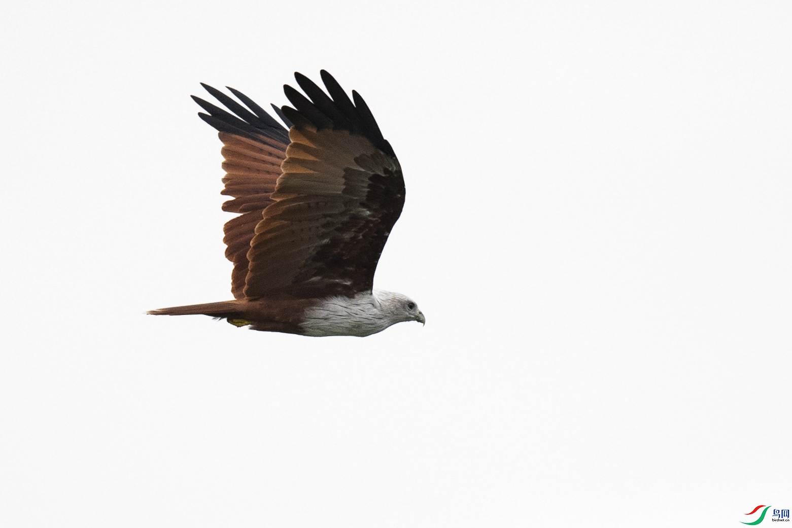 WY9_7787-1.jpg