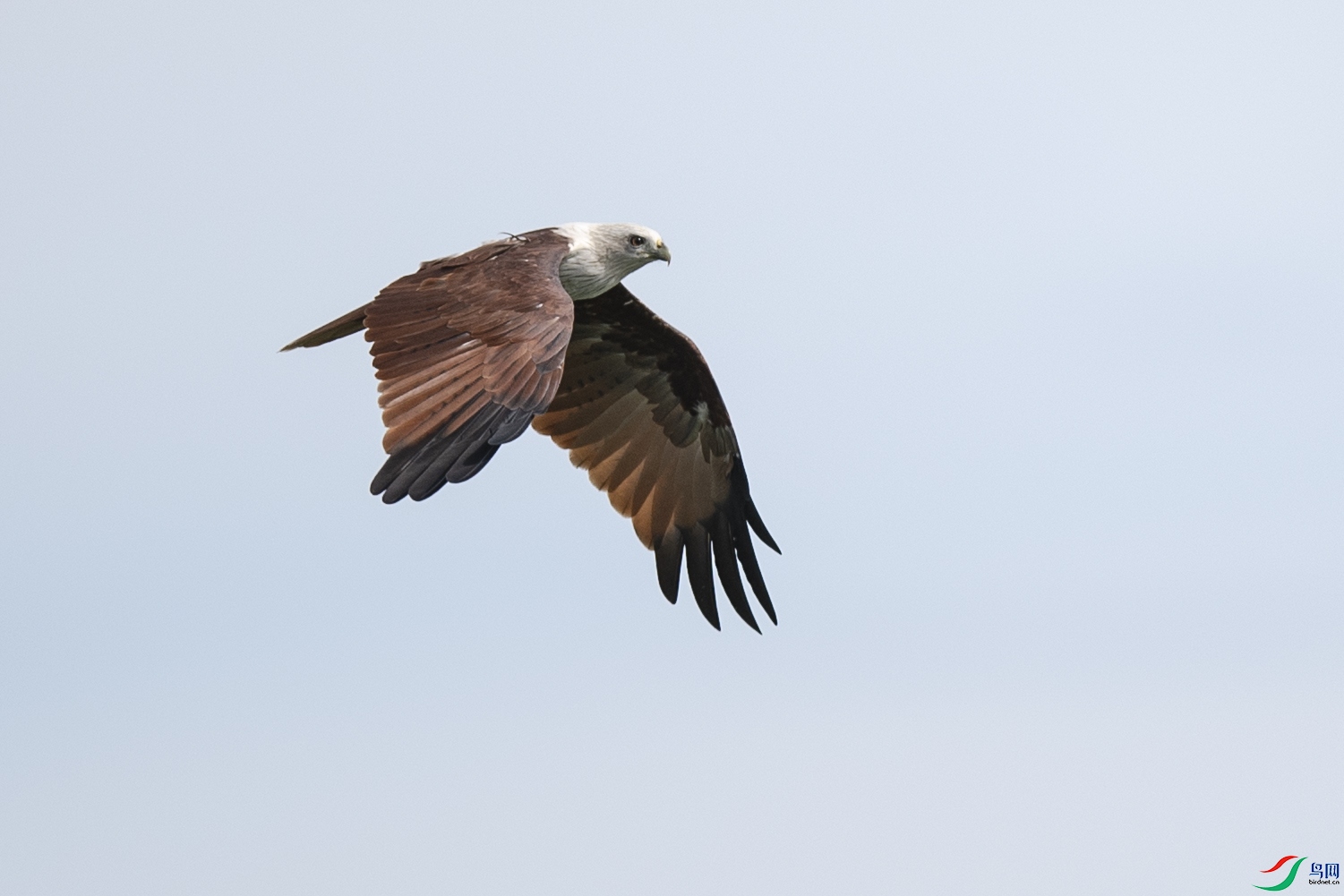 WY9_8234-1.jpg