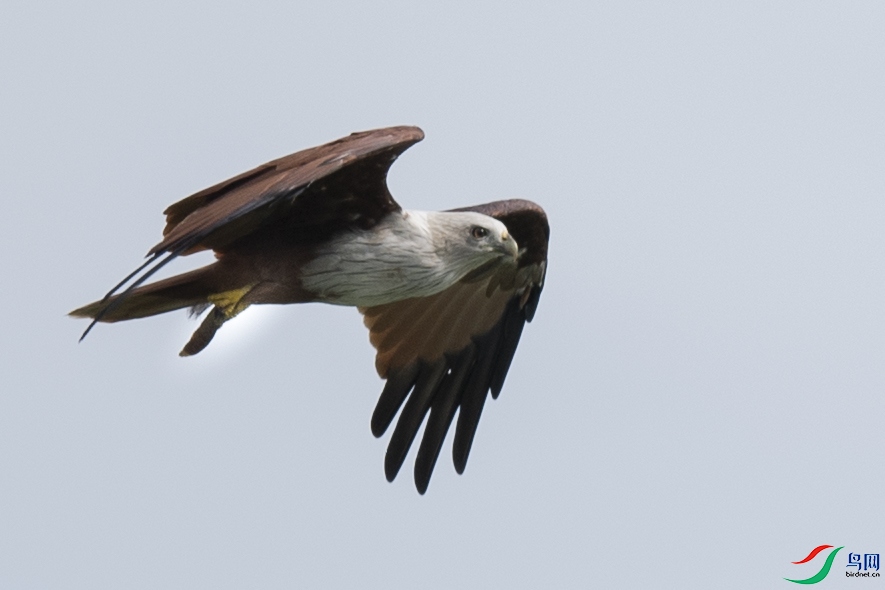 WY9_8235-1.jpg