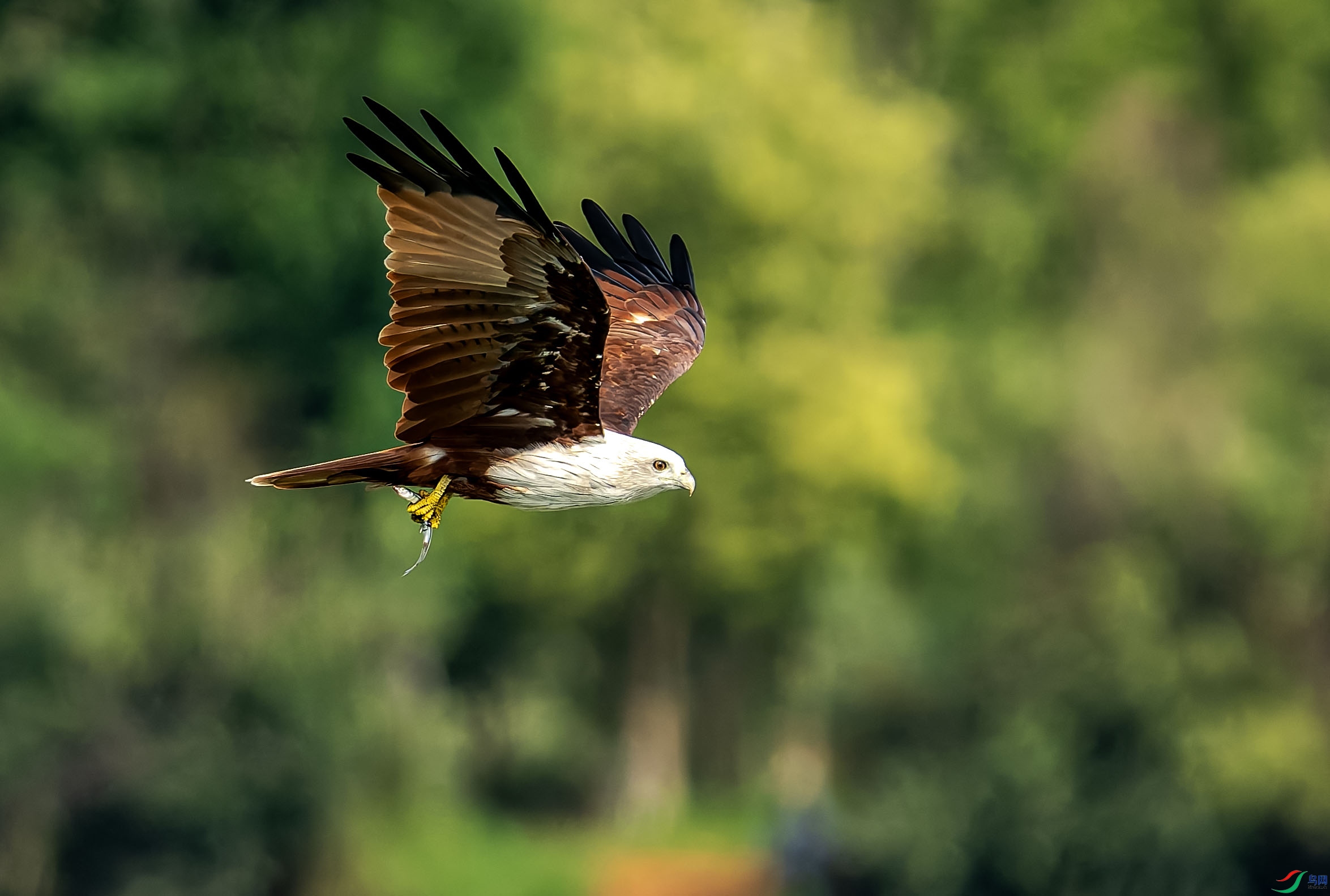 DSC_1573-DxO_DeepPRIME XD2s ���� 2.jpg