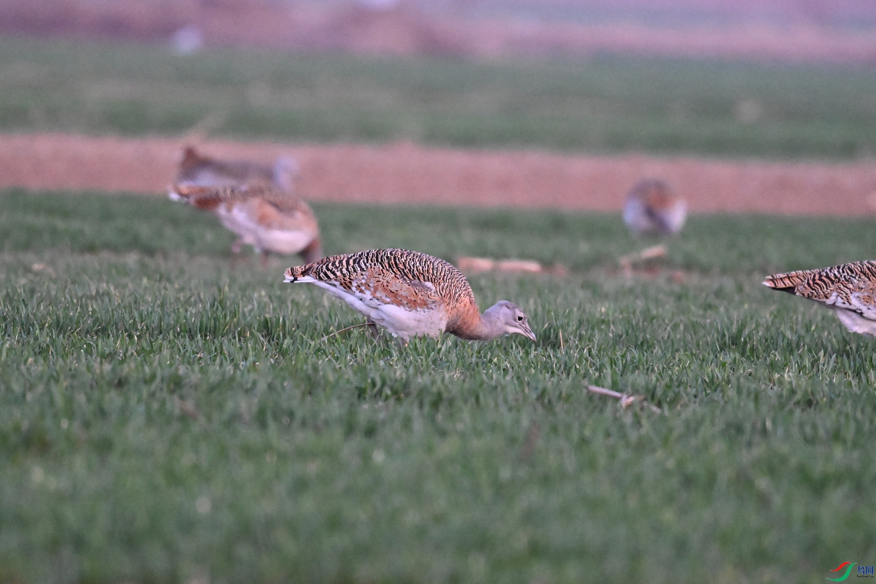 DSC_1751.JPG