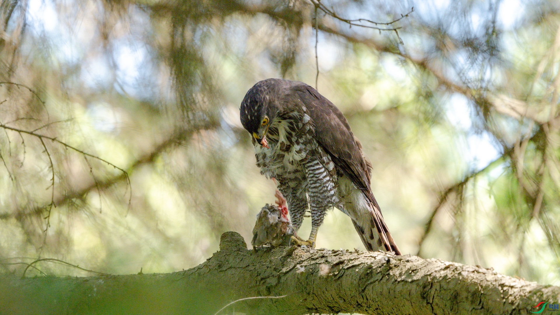 DSC_6135.jpg