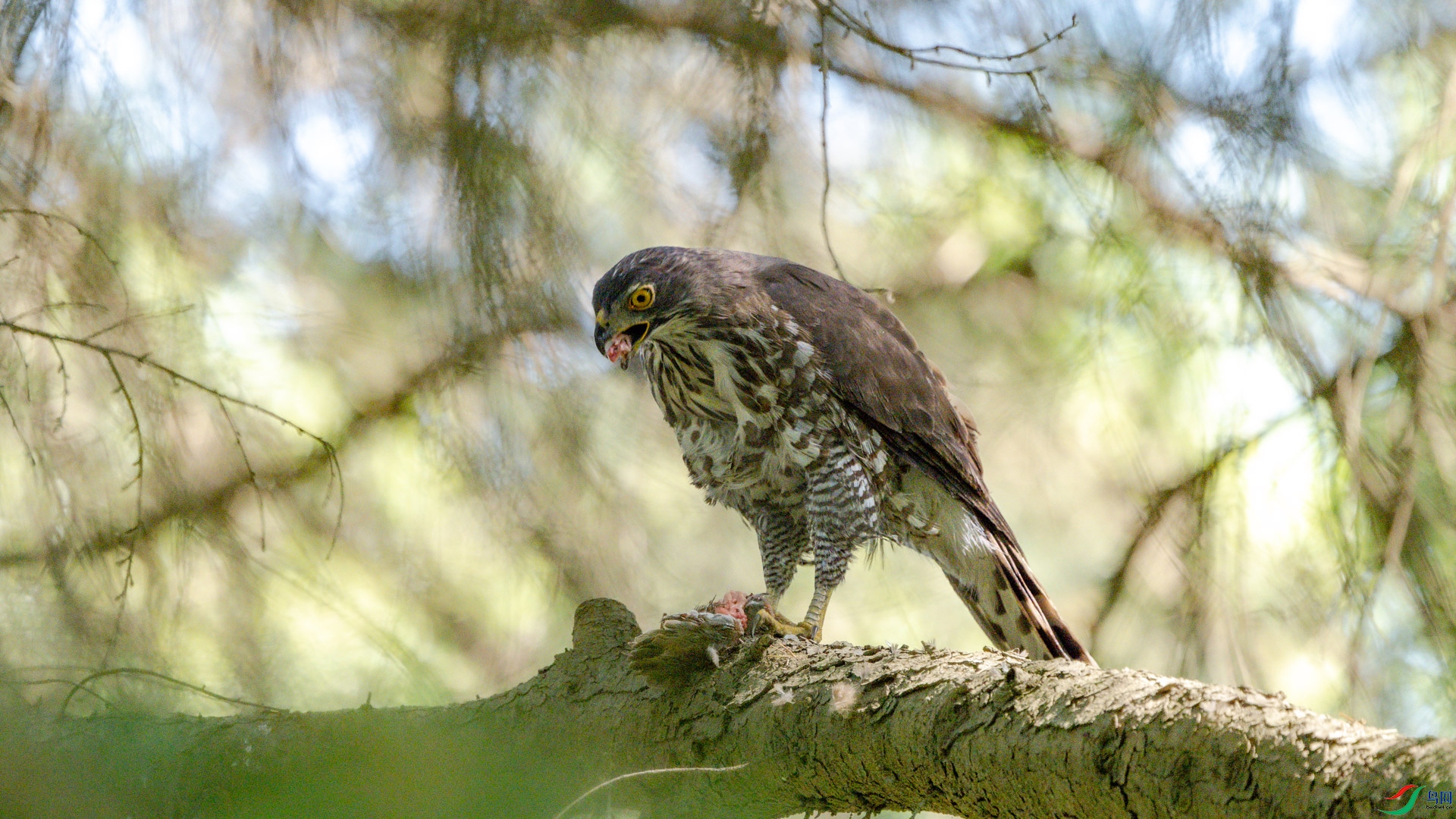 DSC_6143.jpg