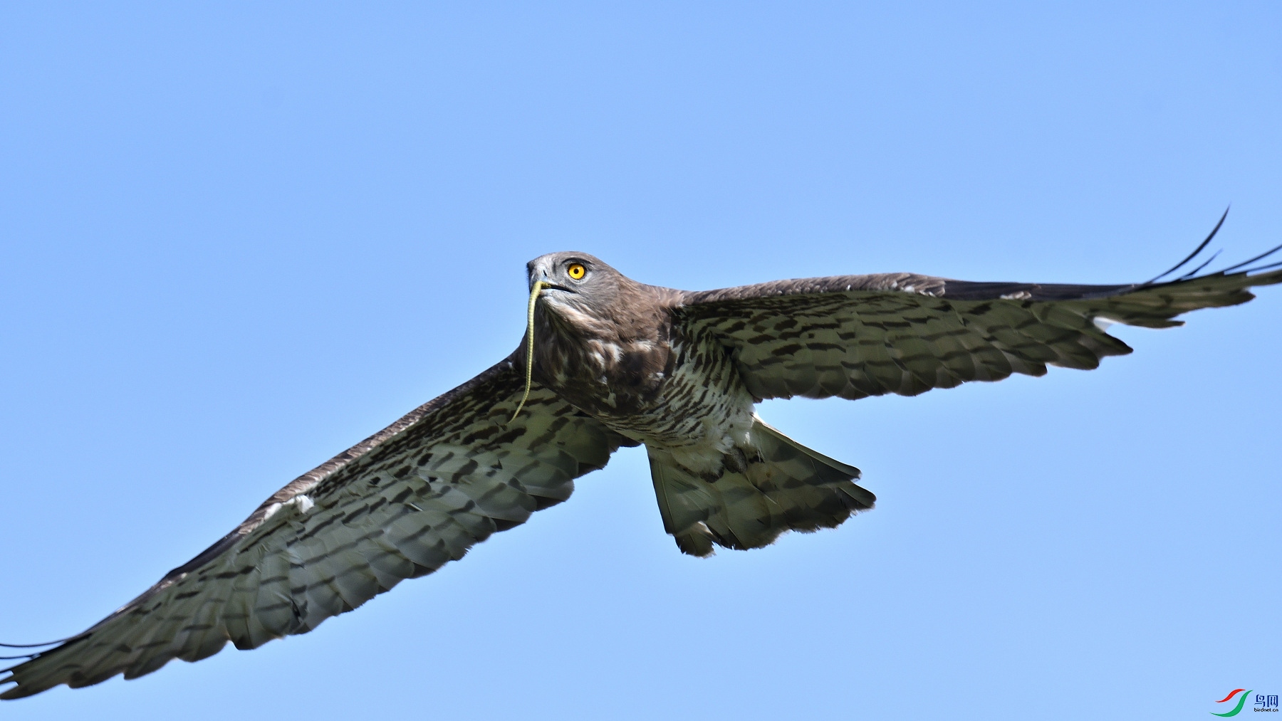 DSC_2035_01.JPG