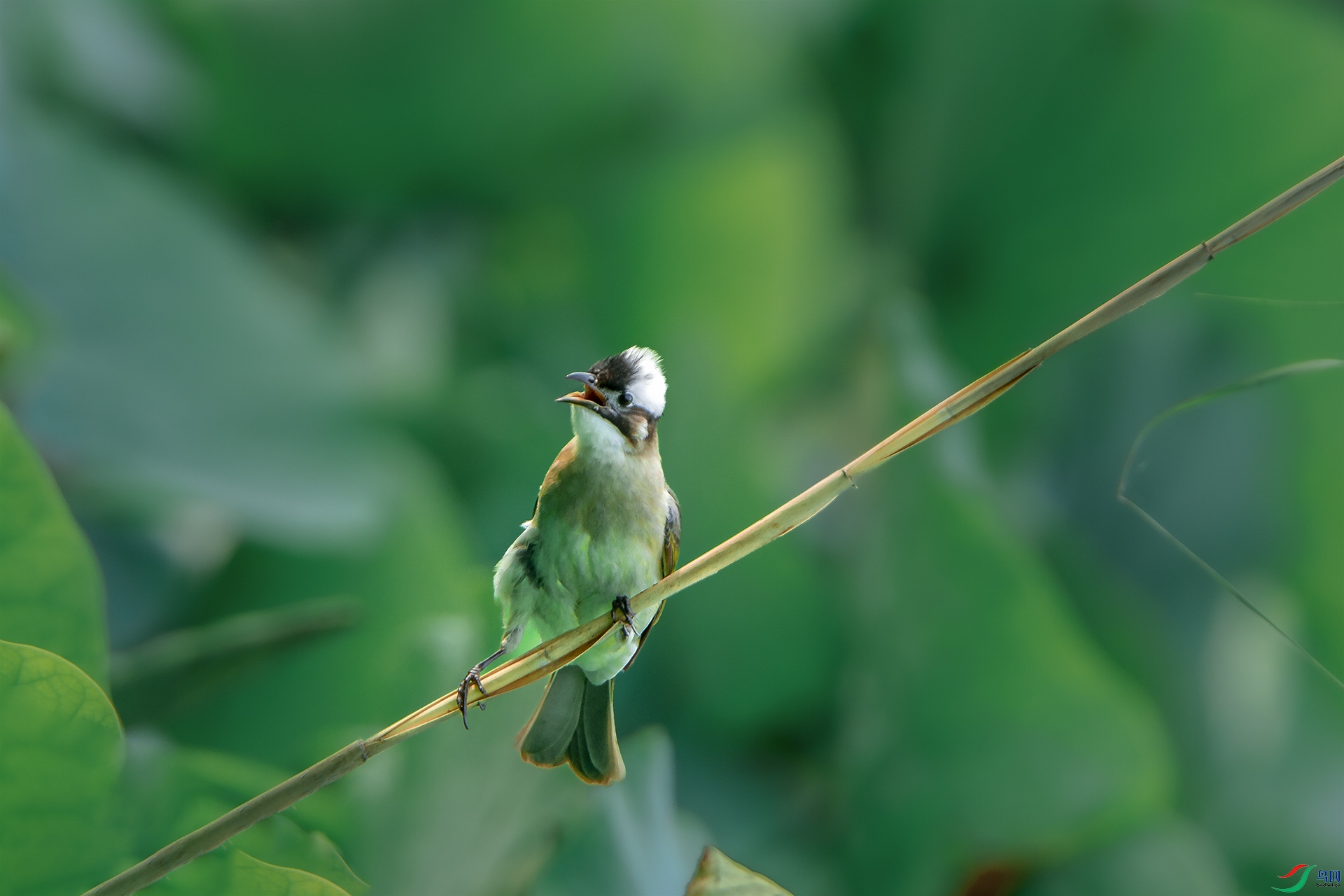 DSC_8117.jpg