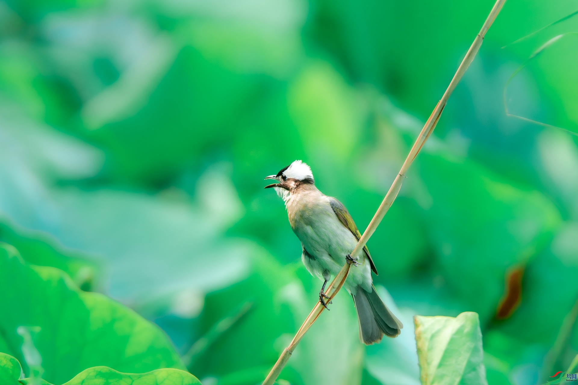 DSC_8118.jpg