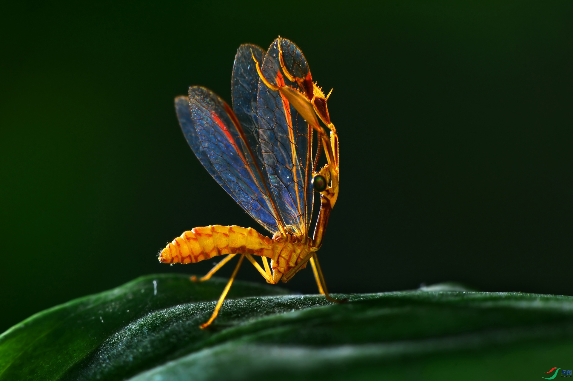 DSC_3240 ����..JPG