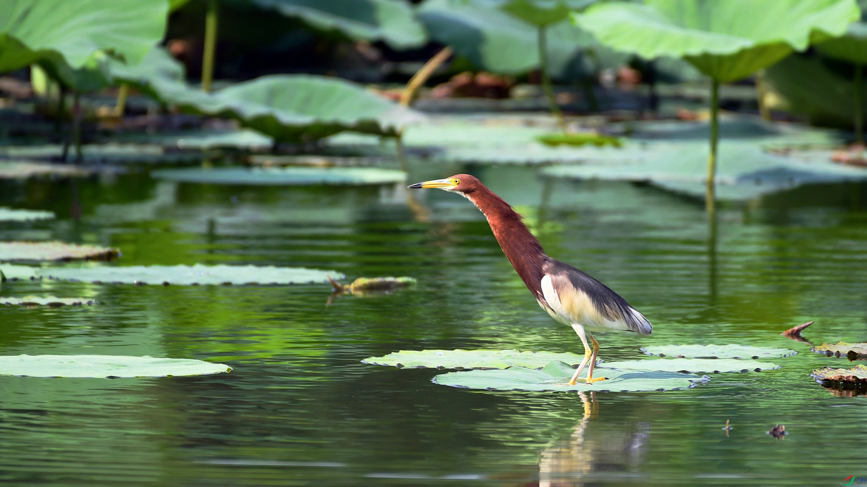 DSC_7894.JPG