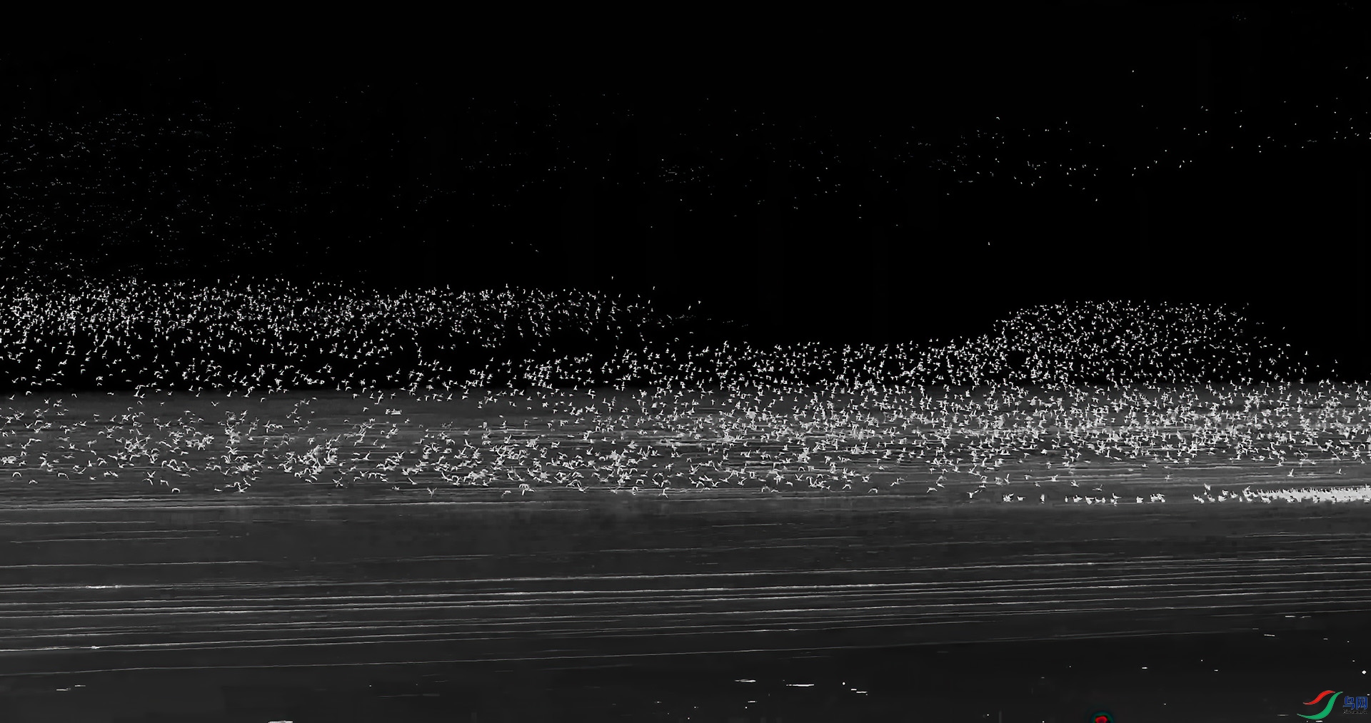 ��֡ 2025-08-13 071040_1.1.4.jpg