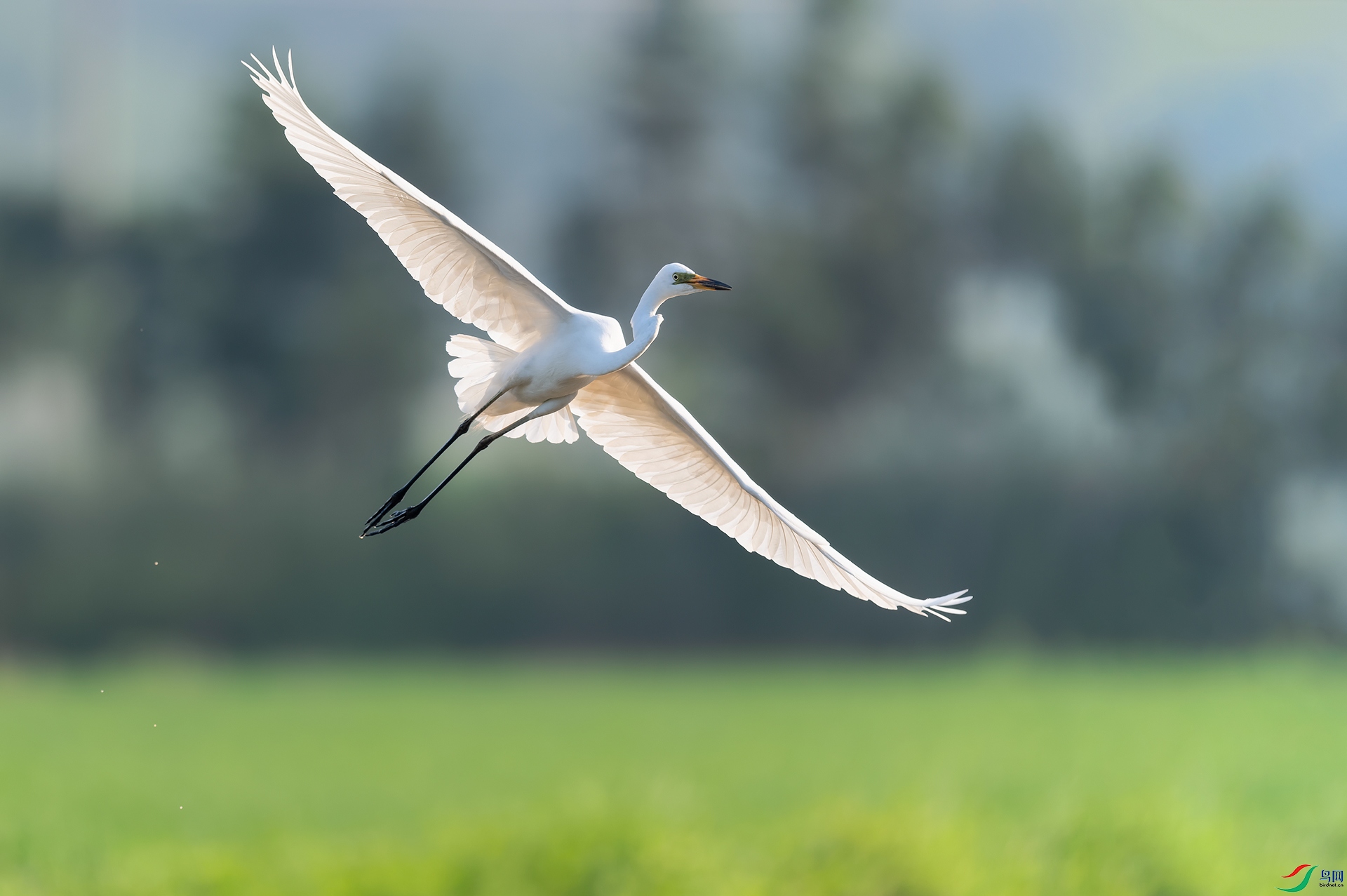 4DSC_0218_DxOa.jpg