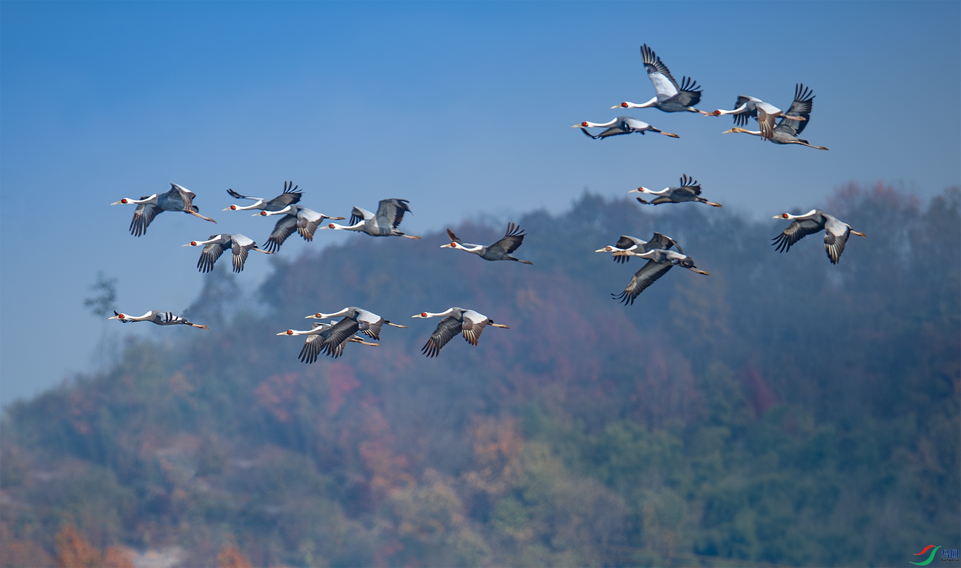 2025.8.14��������Ǩ�㡷DSC_3369 ����.jpg