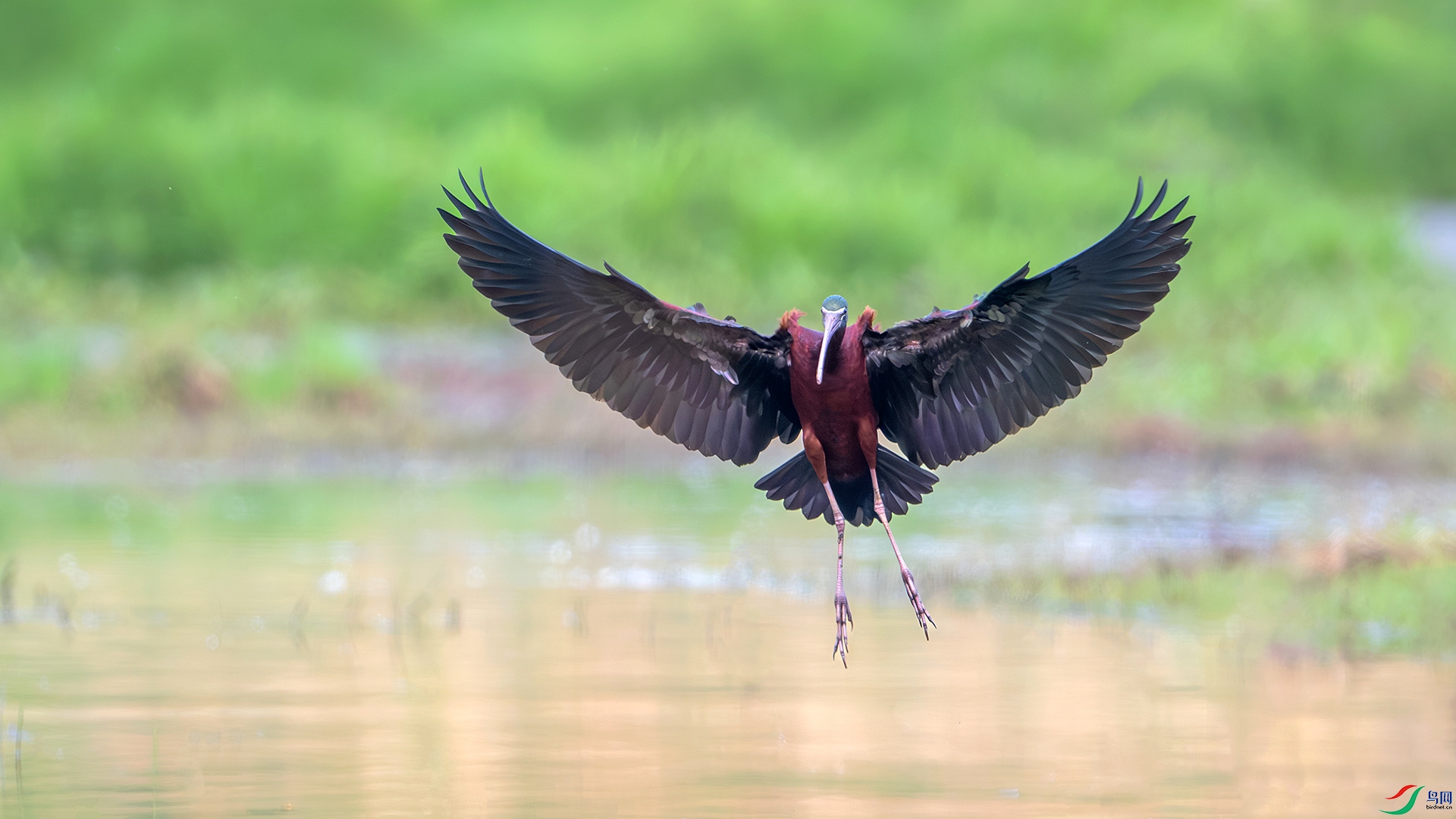 DSC_2198-����ǿ-NR-�ָ���z ���� 2.jpg