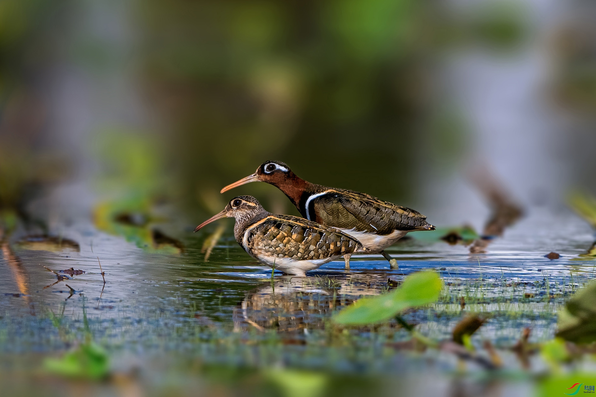 _AUU2329 ˫��(25.4.18).jpg