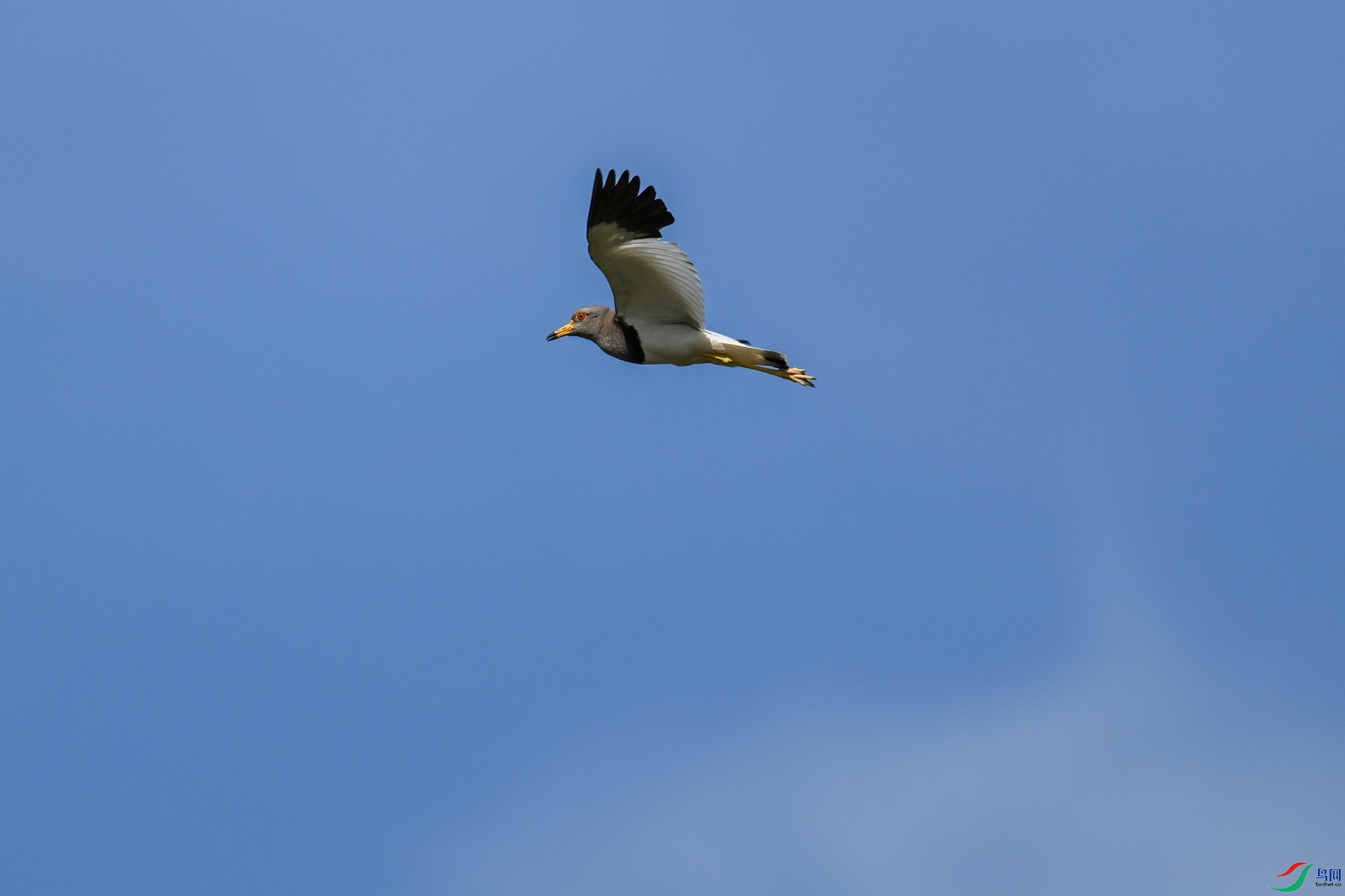 DSC_5258.JPG