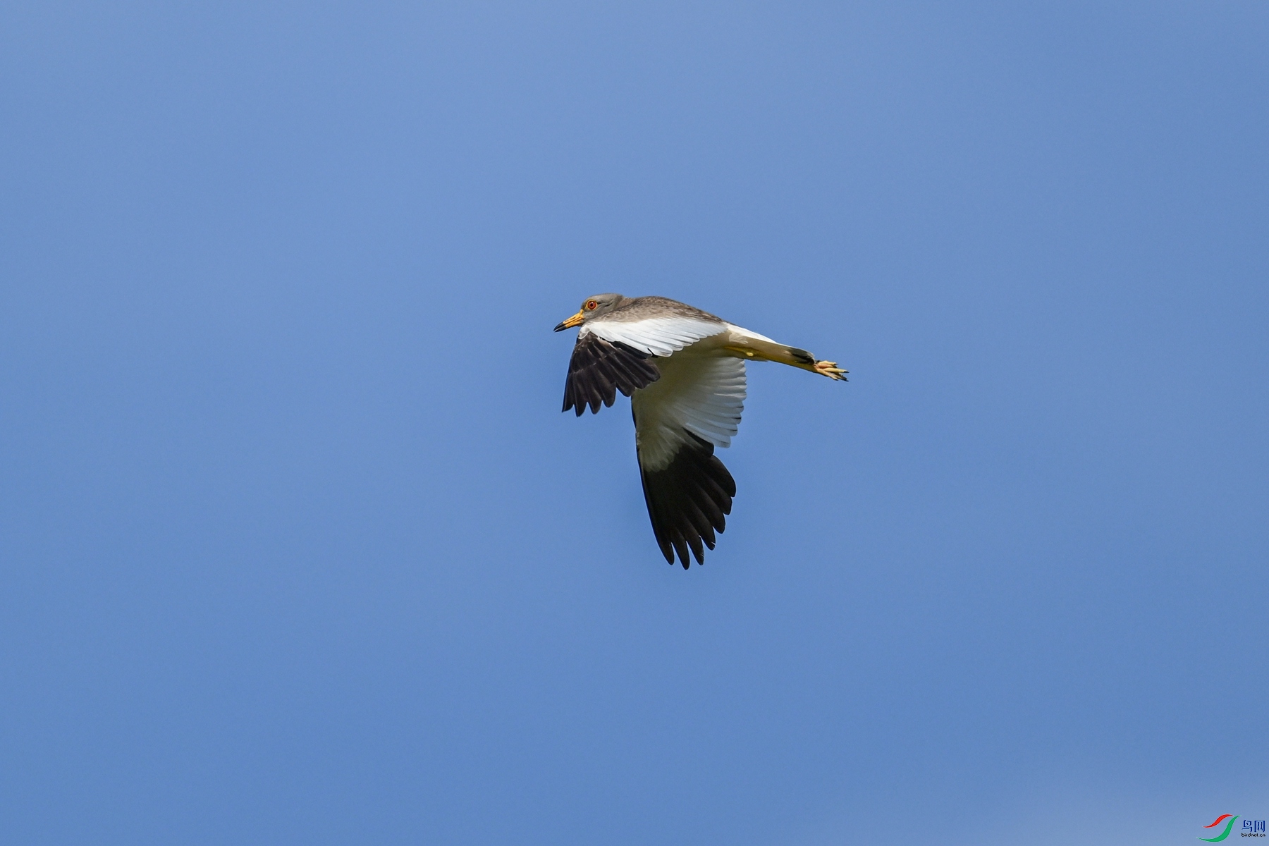 DSC_5259.JPG