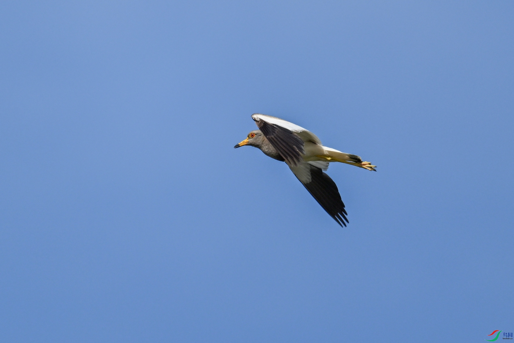 DSC_5260.JPG