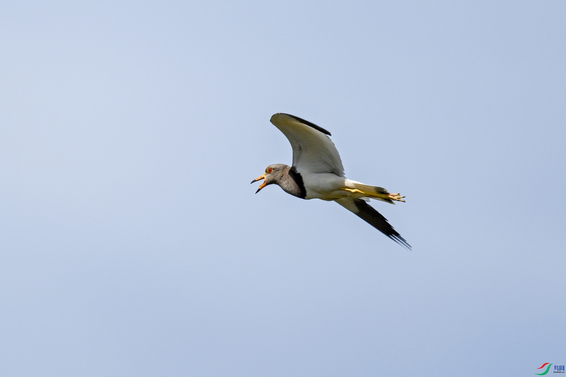DSC_5262.JPG