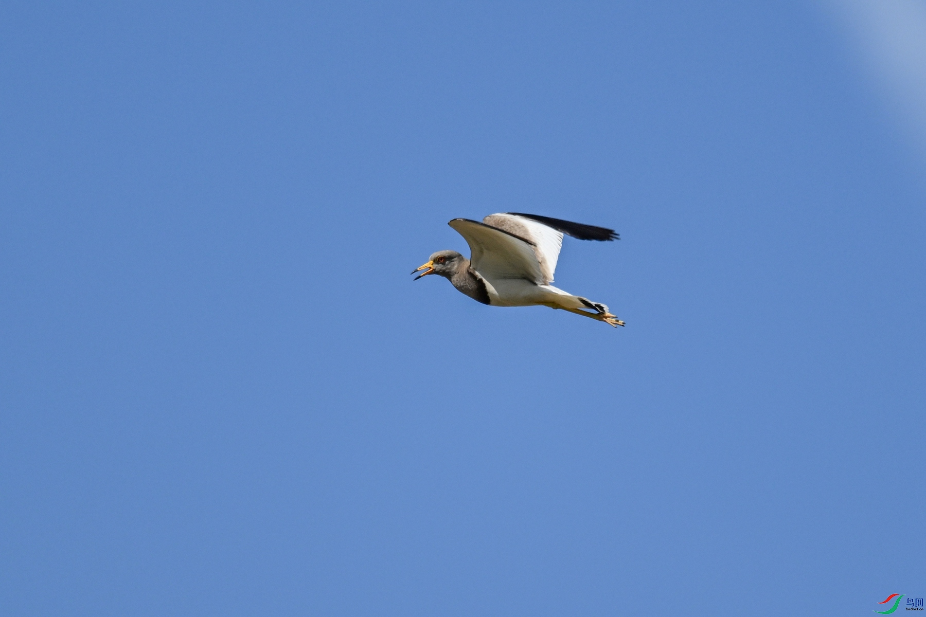 DSC_5267.JPG