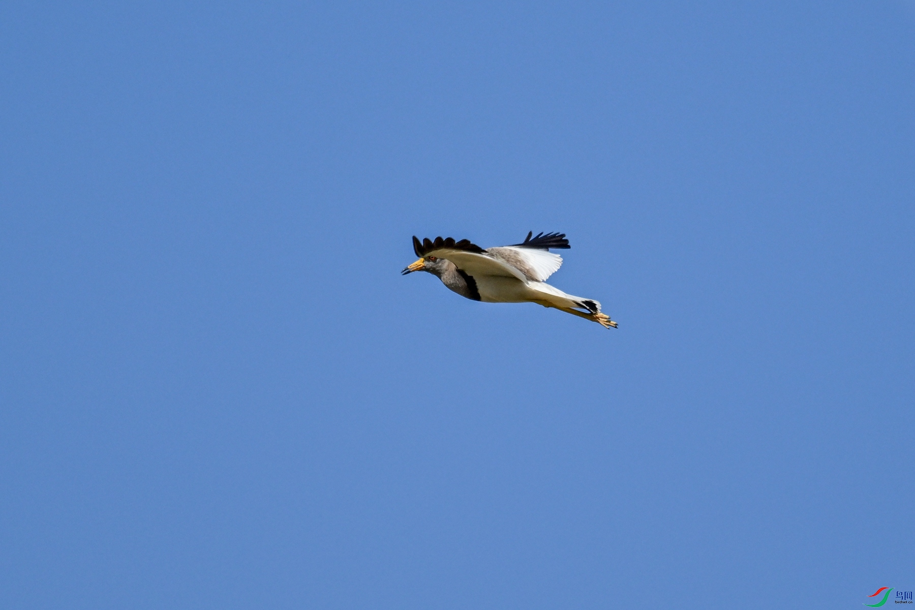 DSC_5268.JPG