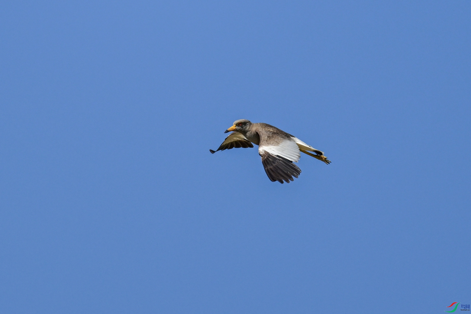 DSC_5269.JPG