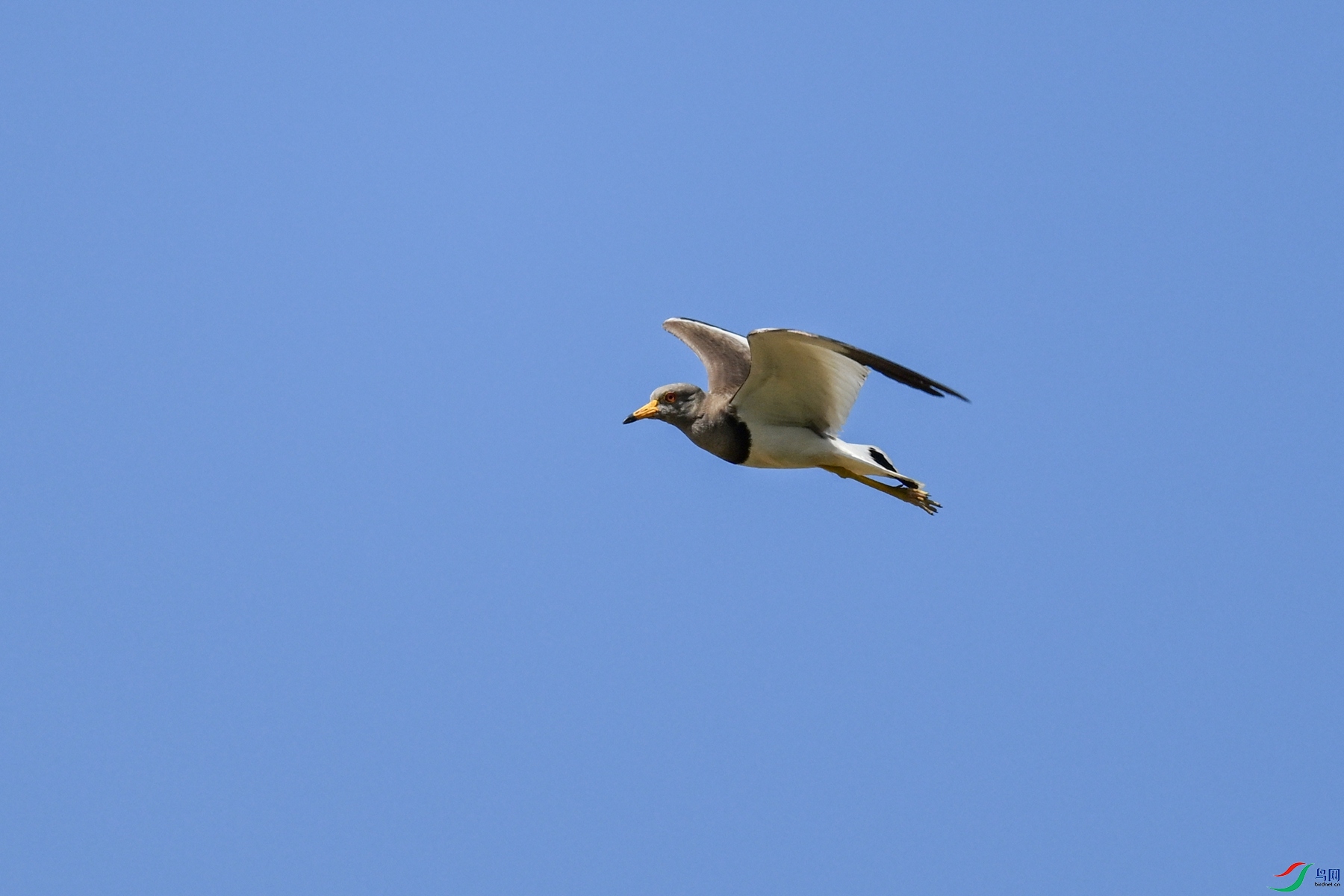 DSC_5271.JPG