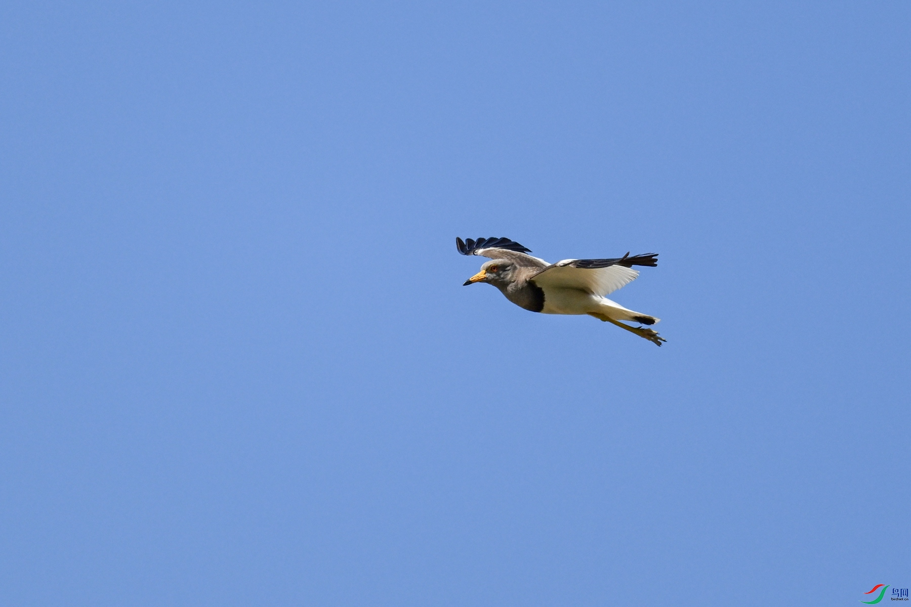 DSC_5272.JPG