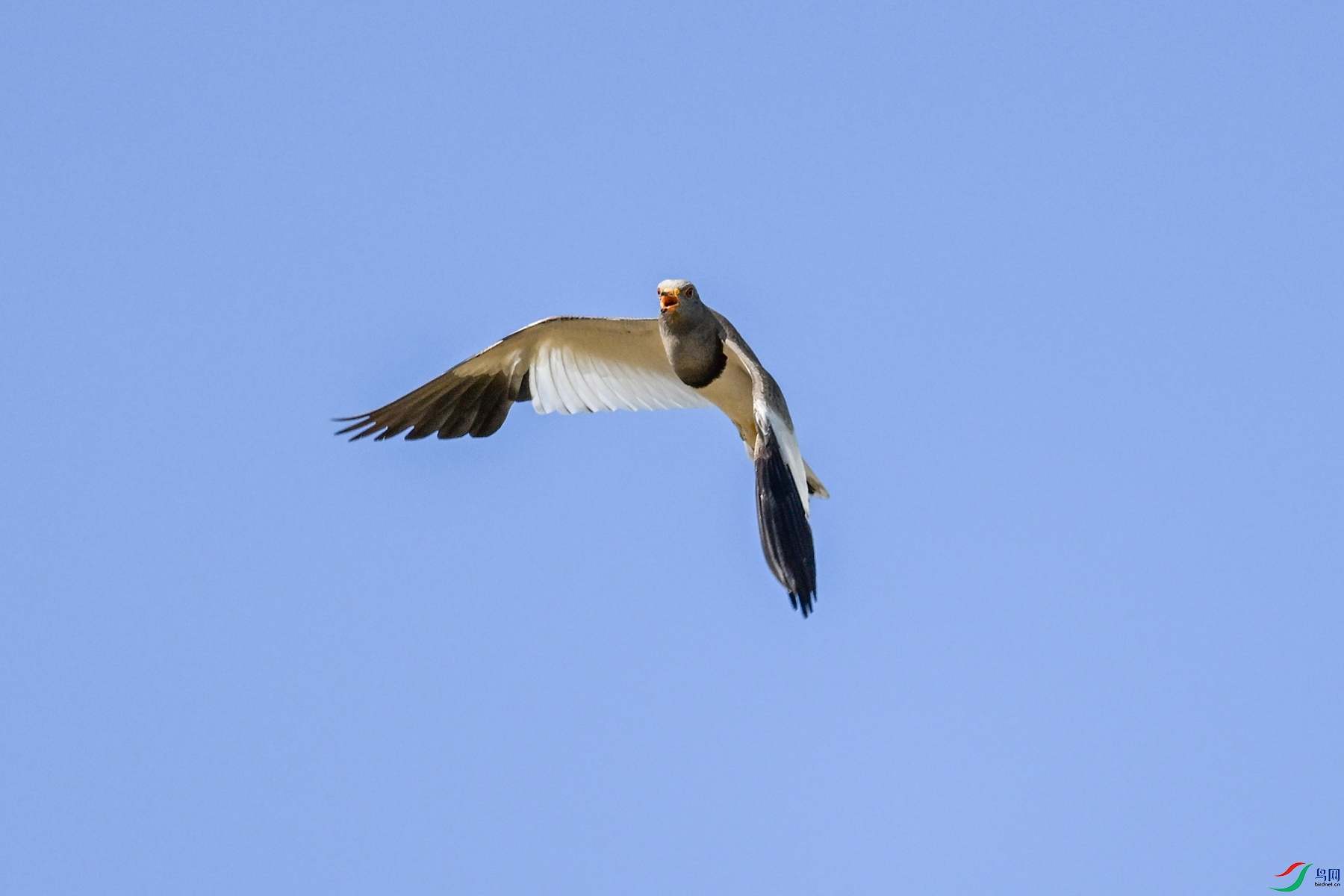 DSC_5273.JPG
