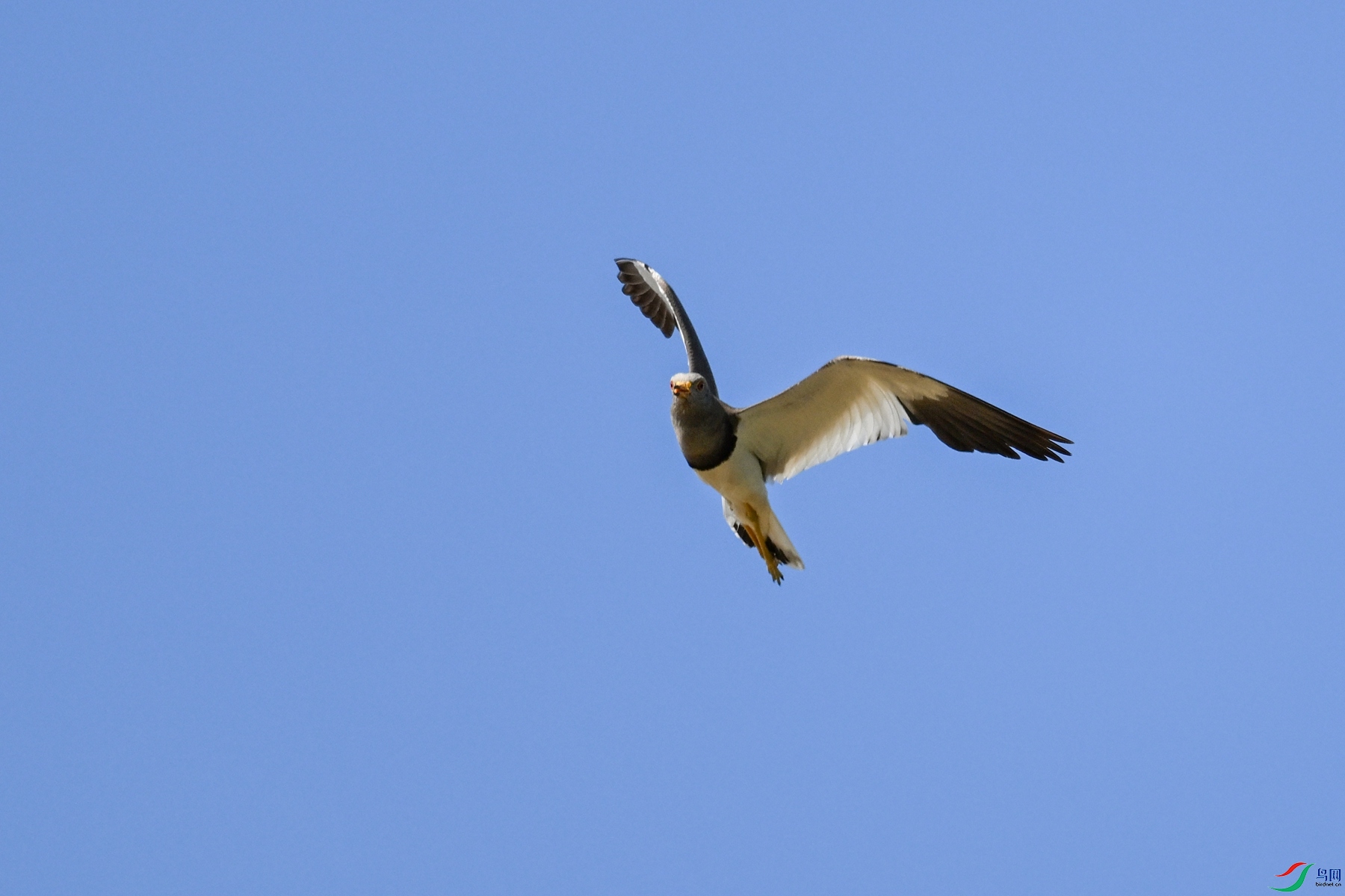 DSC_5275.JPG