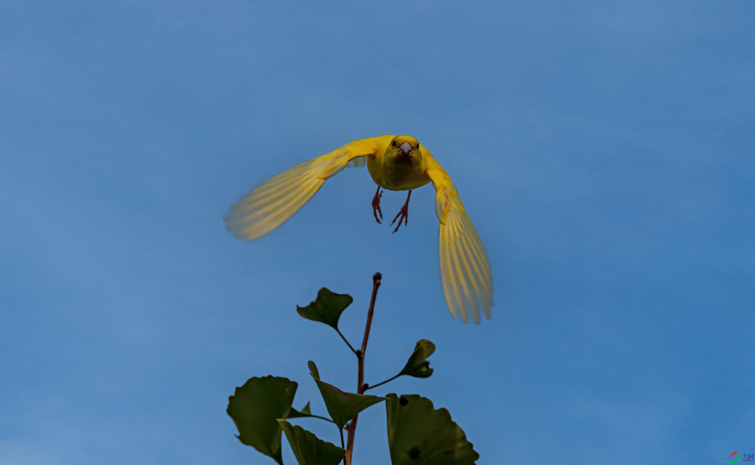 DSC_1713-11.jpg