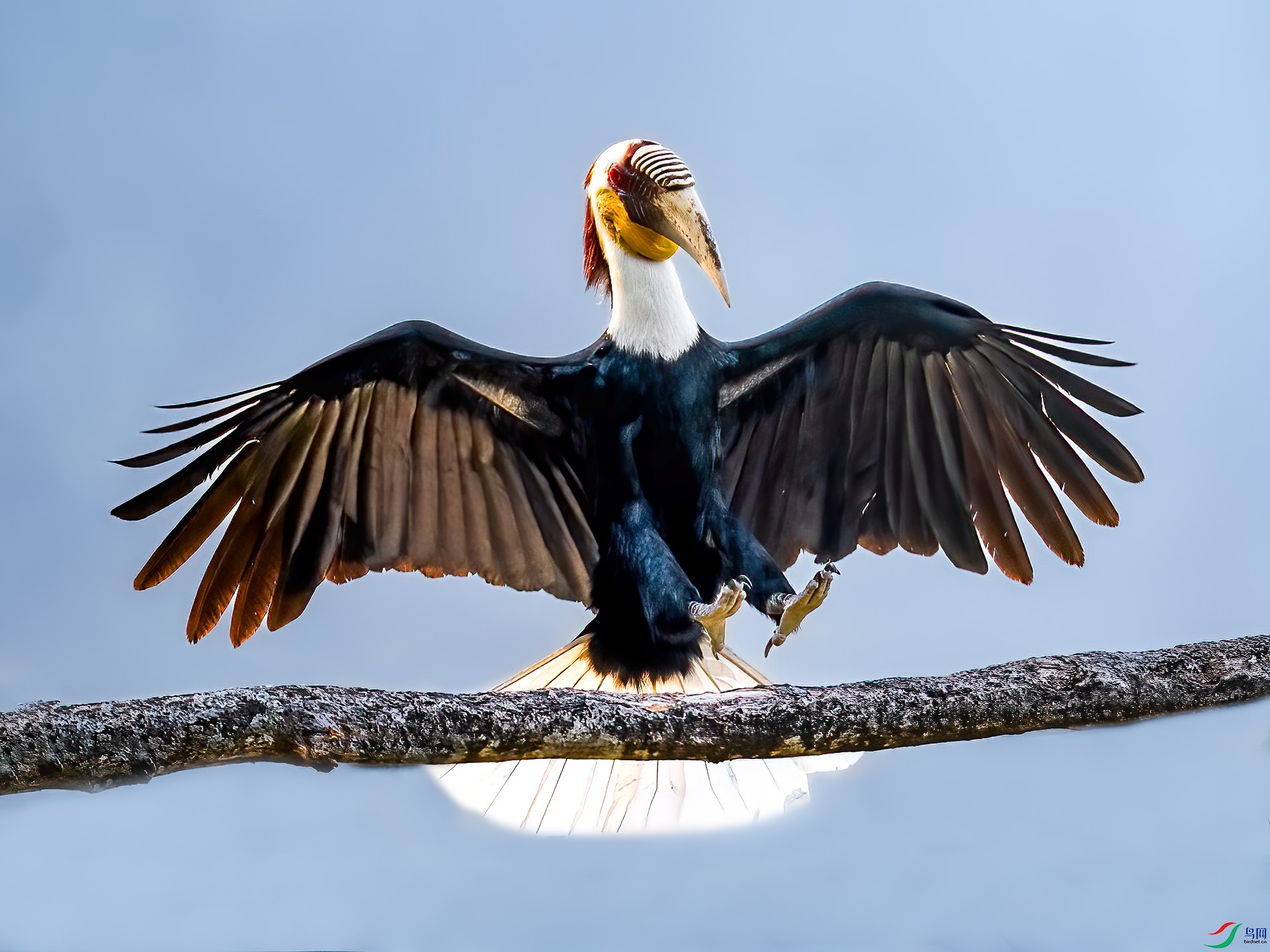 �������Ϭ��