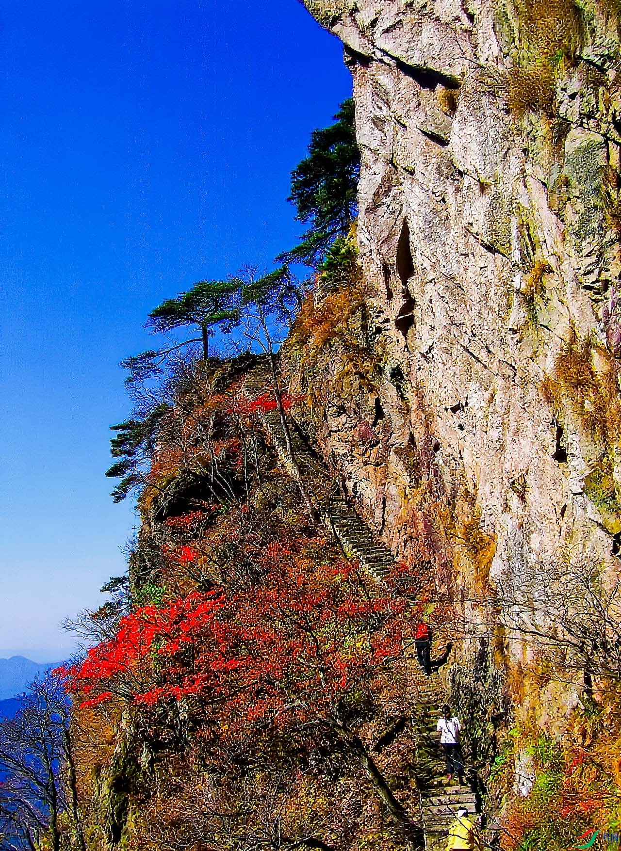 2006-11-3 110a.jpg
