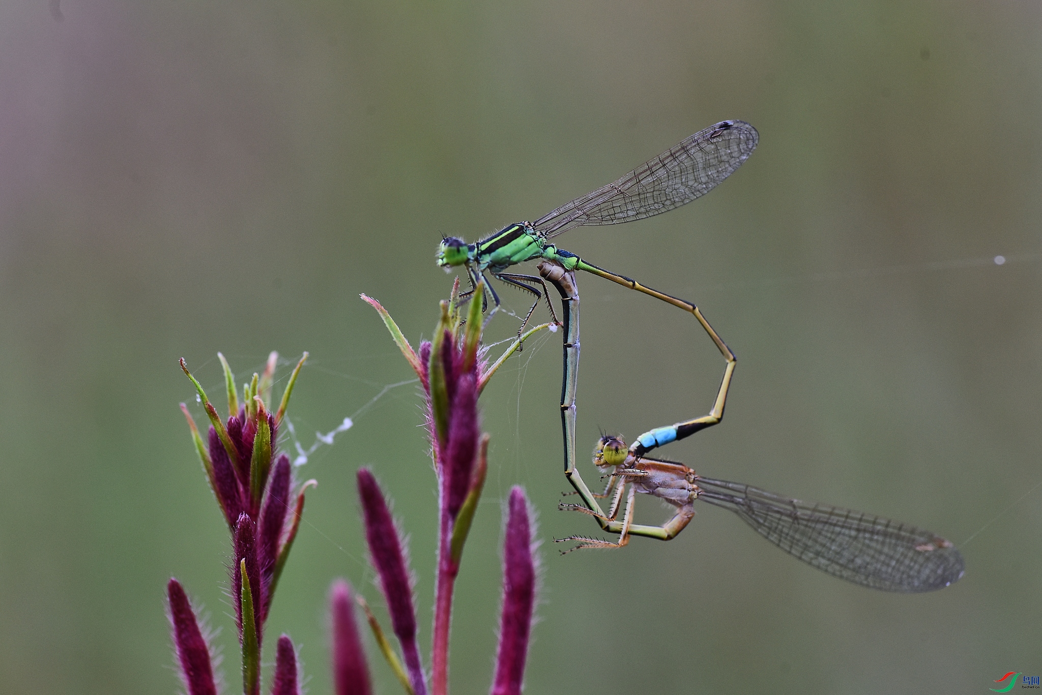 DSC_3308.jpg