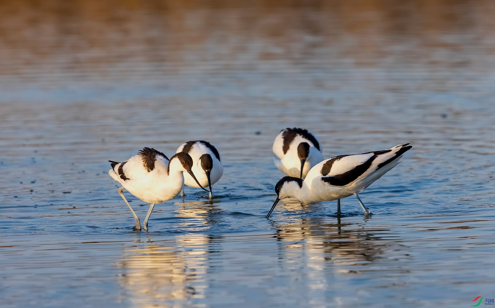 4Q0A4041.jpg