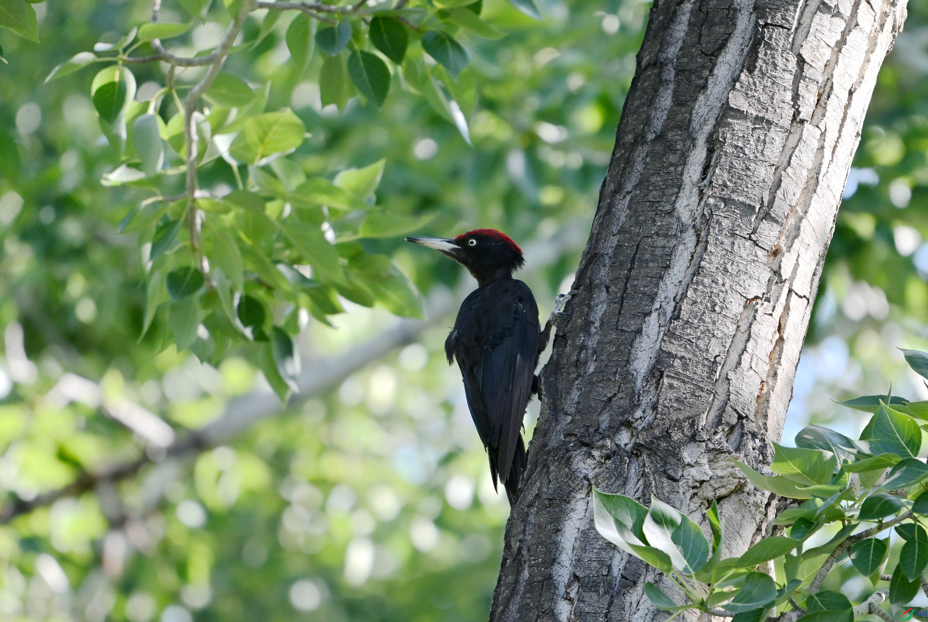 ����ľ�� ������ (8).JPG