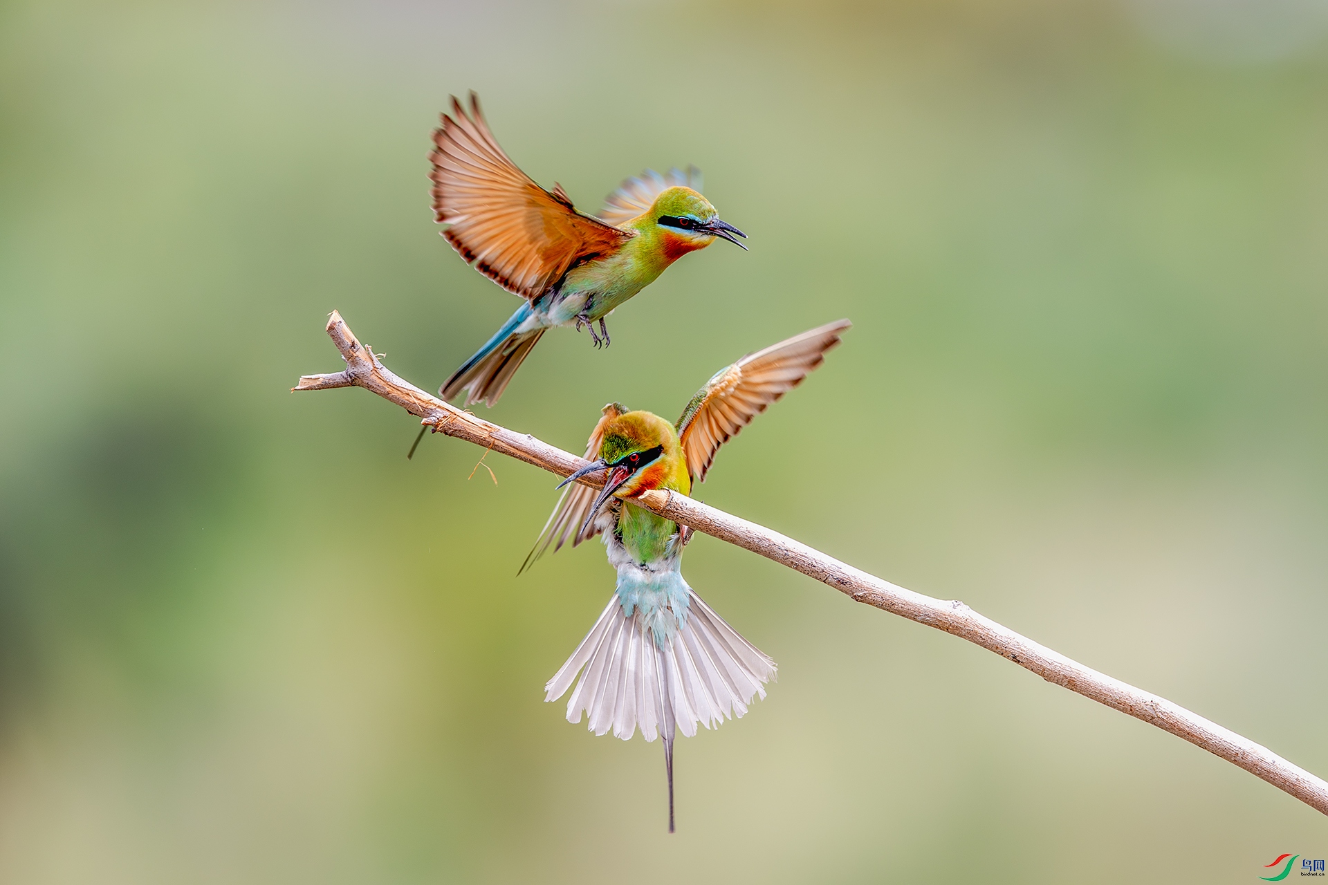 20250815���� .jpg