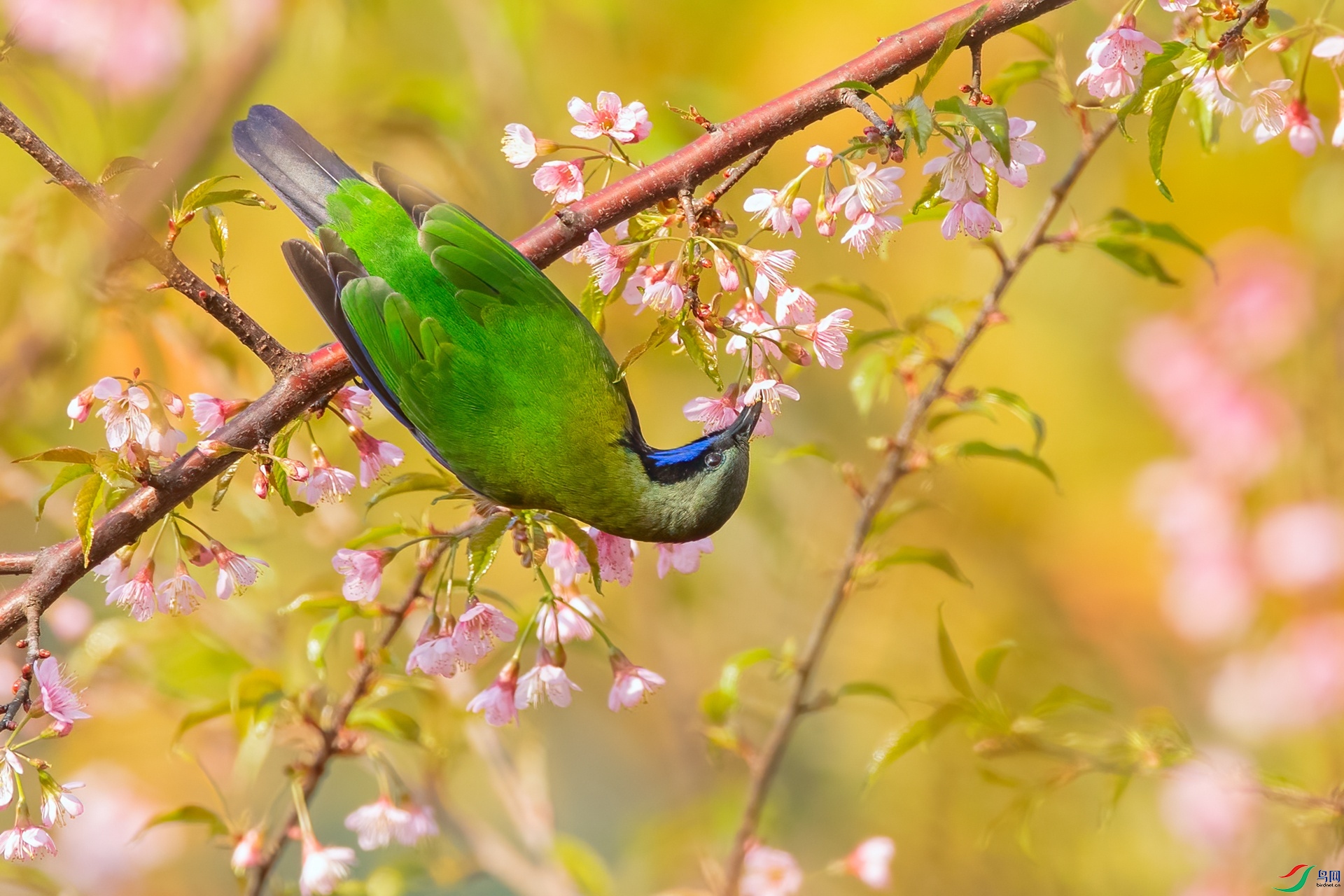 B86I3143 _����.jpg