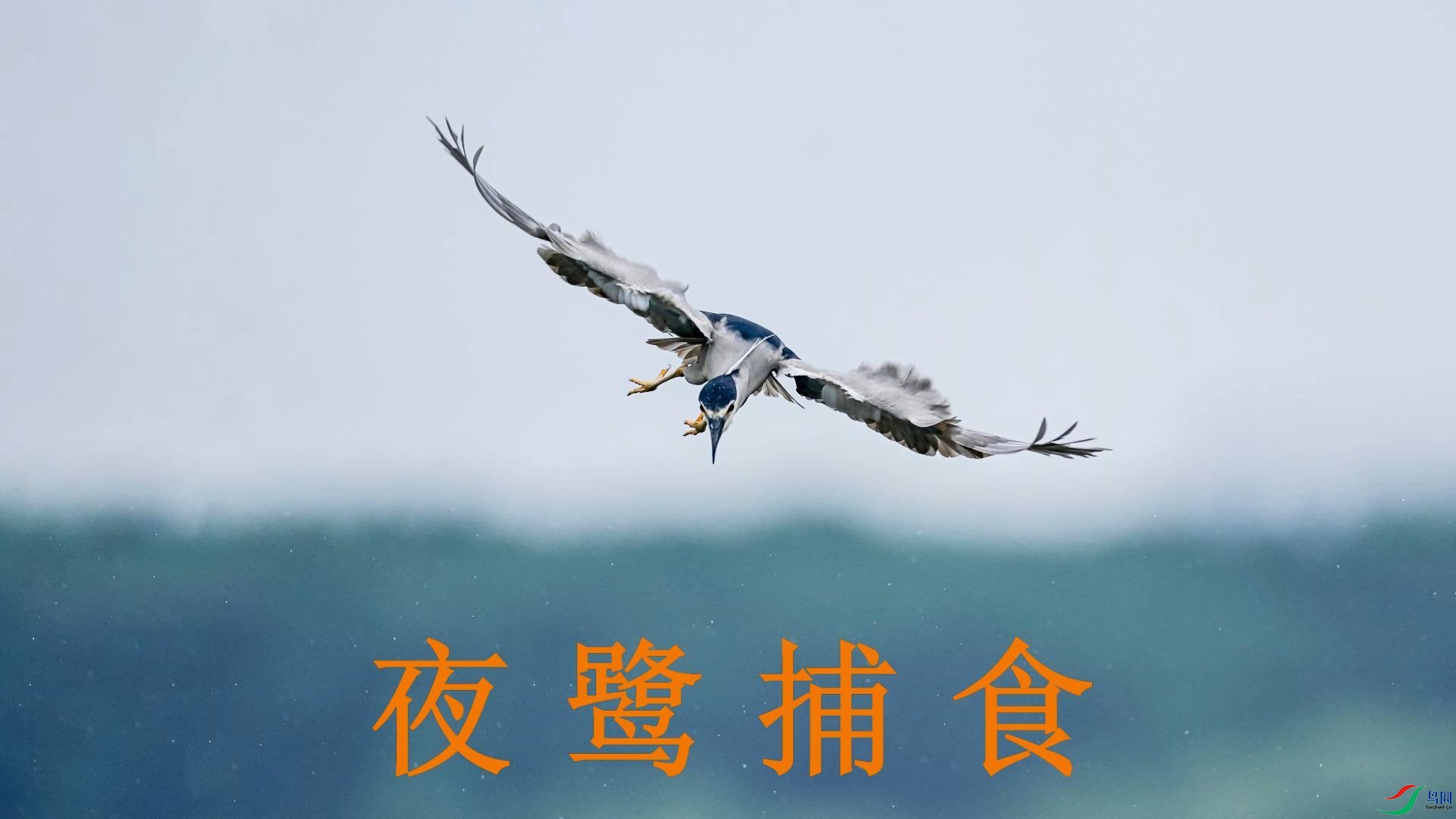 8��14�� ҹ�ز�ʳ-����.jpg