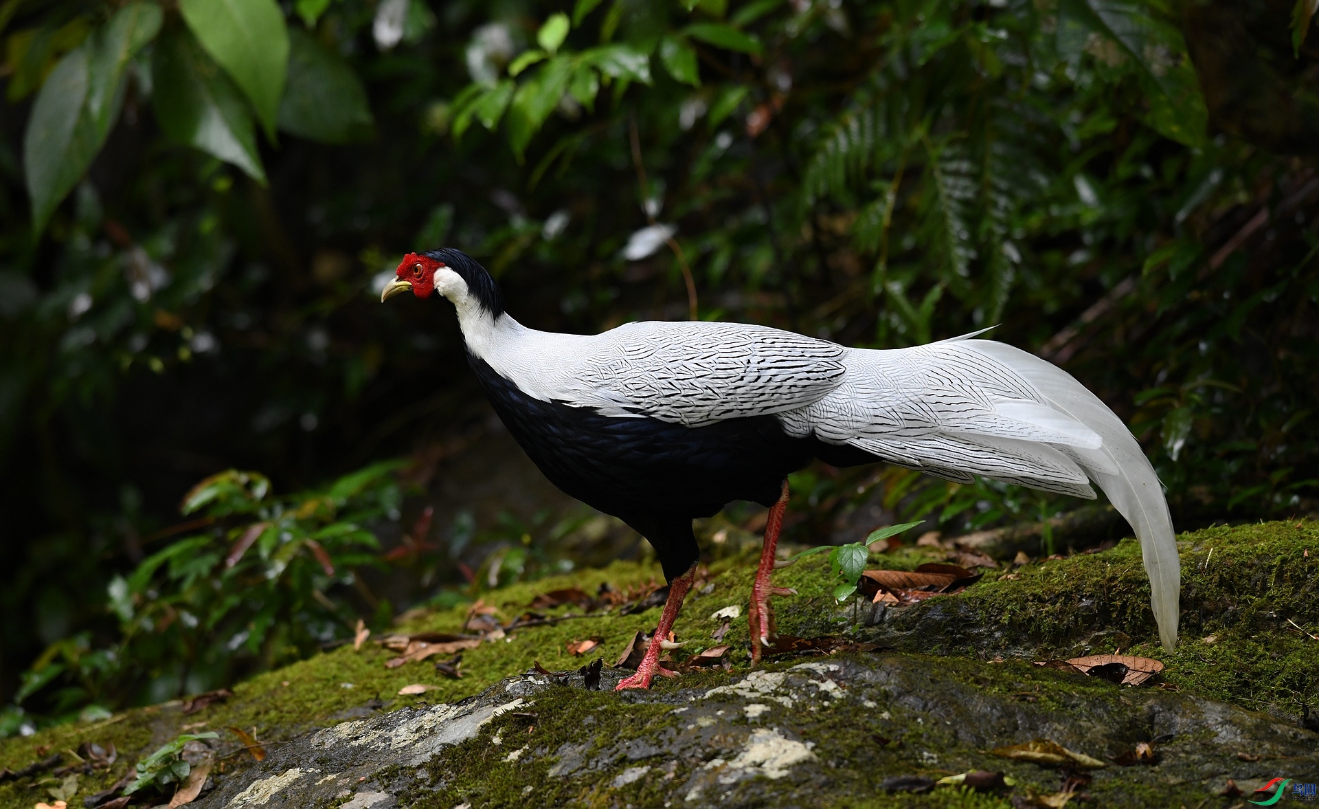 DSC_0168.jpg