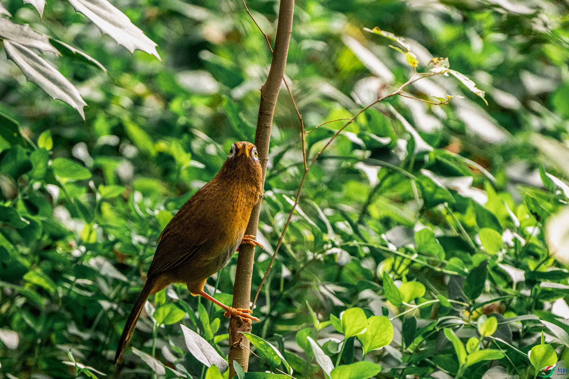 DSC_3435.jpg