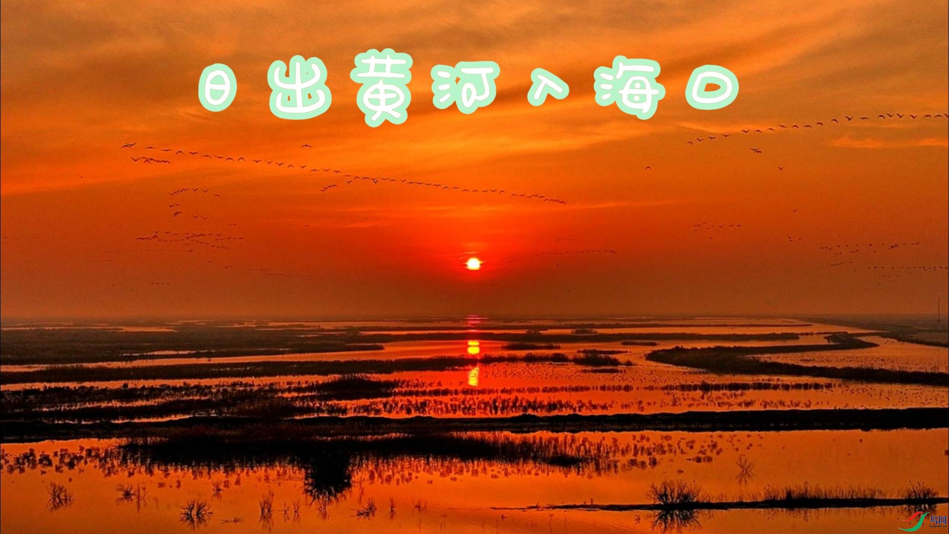 �ճ��ƺ��뺣��-����.jpg